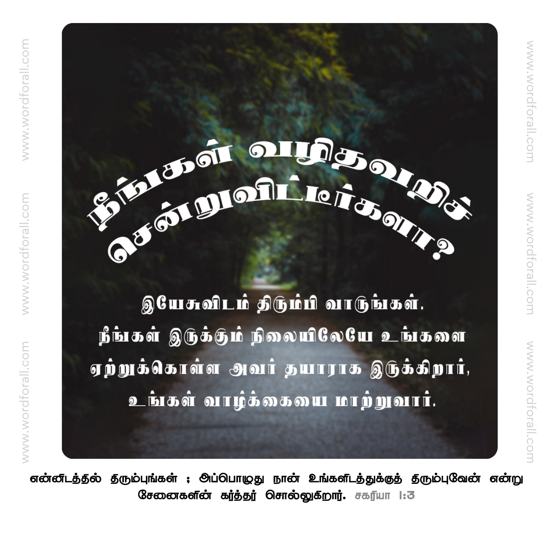 நீங்கள் வழிதவறிச் சென்றுவிட்டீர்களா? இயேசுவிடம் திரும்பி வாருங்கள். நீங்கள் இருக்கும் நிலையிலேயே உங்களை ஏற்றுக்கொள்ள அவர் தயாராக இருக்கிறார், உங்கள் வாழ்க்கையை மாற்றுவார்.