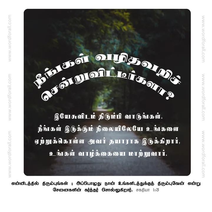 நீங்கள் வழிதவறிச் சென்றுவிட்டீர்களா? இயேசுவிடம் திரும்பி வாருங்கள். நீங்கள் இருக்கும் நிலையிலேயே உங்களை ஏற்றுக்கொள்ள அவர் தயாராக இருக்கிறார், உங்கள் வாழ்க்கையை மாற்றுவார்.