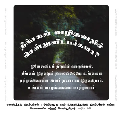 நீங்கள் வழிதவறிச் சென்றுவிட்டீர்களா? இயேசுவிடம் திரும்பி வாருங்கள். நீங்கள் இருக்கும் நிலையிலேயே உங்களை ஏற்றுக்கொள்ள அவர் தயாராக இருக்கிறார், உங்கள் வாழ்க்கையை மாற்றுவார்.
