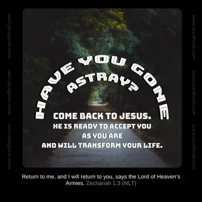 Have you gone astray? Come back to Jesus. He is ready to accept you as you are and will transform your life.