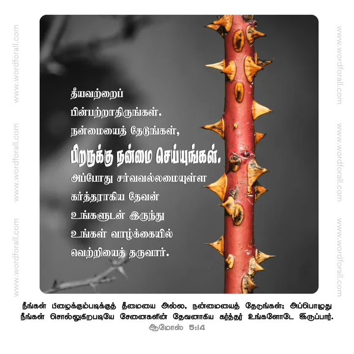 தீயவற்றைப் பின்பற்றாதிருங்கள். நன்மையைத் தேடுங்கள், பிறருக்கு நன்மை செய்யுஙகள். அப்போது சர்வவல்லமையுள்ள கர்த்தராகிய தேவன் உங்களுடன் இருந்து உங்கள் வாழ்க்கையில் வெற்றியைத் தருவார்.