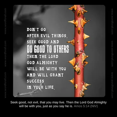 Don't go after evil things. Seek good and do good to others. Then the Lord God Almighty will be with you and will grant success in your life.