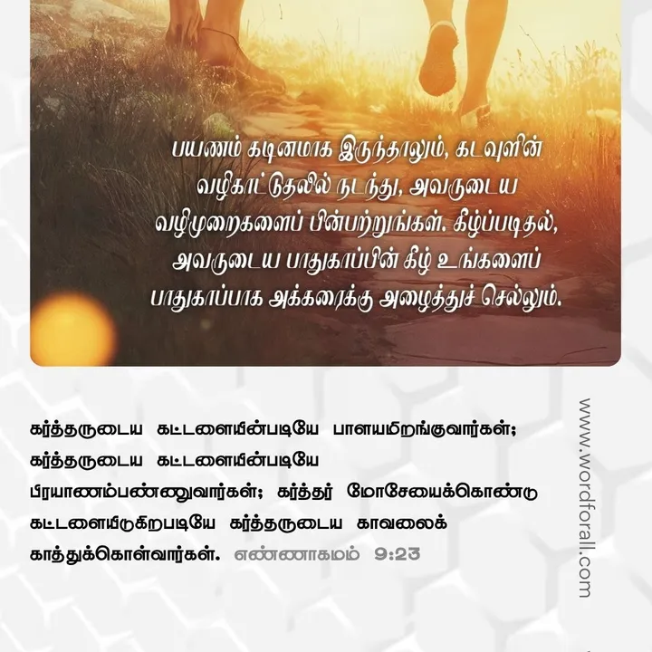 கடவுள் உங்களுக்கு முன்னால் செல்கிறார், உங்கள் அருகில் நடக்கிறார், உங்களை ஒருபோதும் கைவிடமாட்டார்.. தைரியமாக இருங்கள். நீங்கள் ஒருபோதும் தனியாக நடப்பதில்லை.