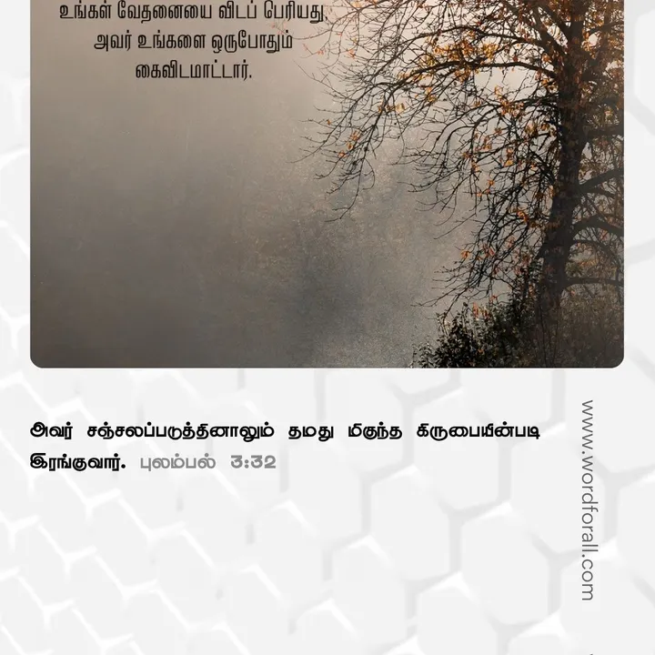 கடவுளின் நேரம் மெதுவாகத் தோன்றலாம், ஆனால் அது அப்படி இல்லை. அவருடைய பொறுமை கருணையால் நிறைந்துள்ளது, அனைவருக்கும் அவரிடம் திரும்ப ஒரு வாய்ப்பை அளிக்கிறது.