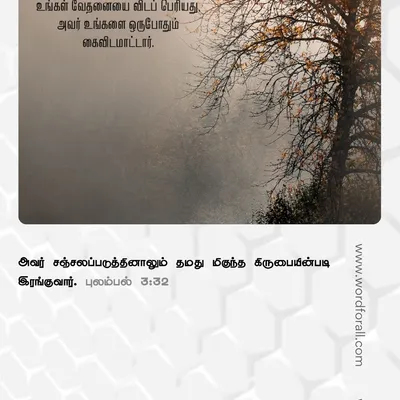 கடவுளின் நேரம் மெதுவாகத் தோன்றலாம், ஆனால் அது அப்படி இல்லை. அவருடைய பொறுமை கருணையால் நிறைந்துள்ளது, அனைவருக்கும் அவரிடம் திரும்ப ஒரு வாய்ப்பை அளிக்கிறது.