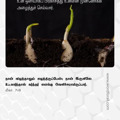 கடவுள் பொறுமையானவர், வல்லமையுள்ளவர். மனந்திரும்புவதற்கு அவர் நேரம் கொடுக்கிறார், ஆனால் அவர் நீதியுள்ளவரும் கூட. எந்தத் தவறும் அவருடைய கண்களுக்குத் தப்புவதில்லை. அவருடைய கருணையை நம்புங்கள். அவருடைய நீதியை நம்புங்கள்.