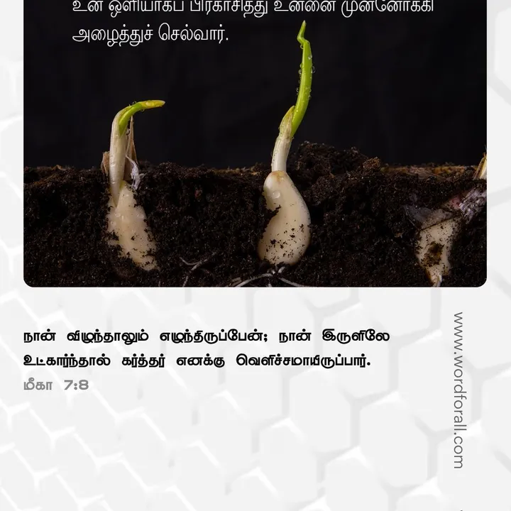 கடவுள் பொறுமையானவர், வல்லமையுள்ளவர். மனந்திரும்புவதற்கு அவர் நேரம் கொடுக்கிறார், ஆனால் அவர் நீதியுள்ளவரும் கூட. எந்தத் தவறும் அவருடைய கண்களுக்குத் தப்புவதில்லை. அவருடைய கருணையை நம்புங்கள். அவருடைய நீதியை நம்புங்கள்.