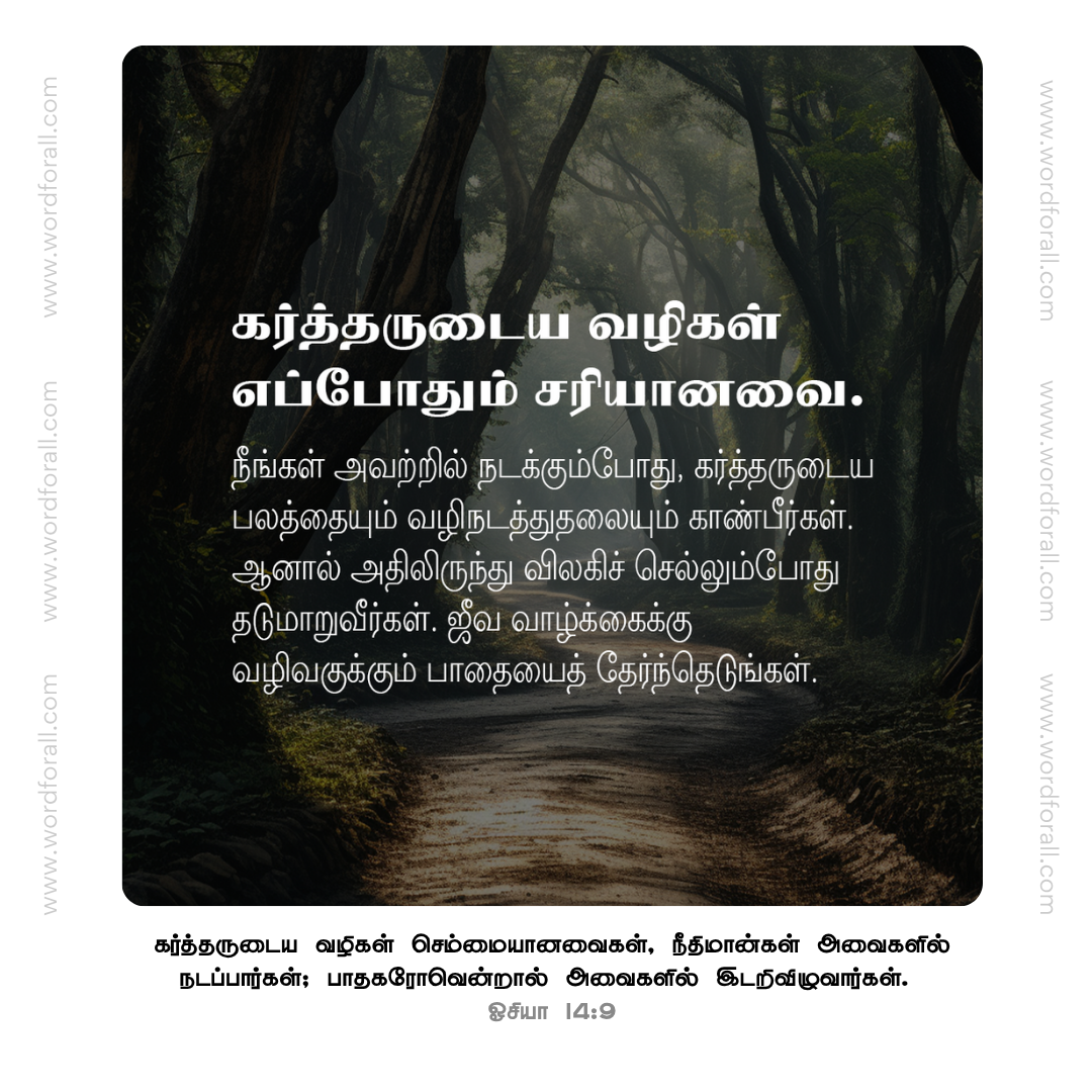 கர்த்தருடைய வழிகள் எப்போதும் சரியானவை. நீங்கள் அவற்றில் நடக்கும்போது, கர்த்தருடைய பலத்தையும் வழிநடத்துதலையும் காண்பீர்கள். ஆனால் அதிலிருந்து விலகிச் செல்லும்போது தடுமாறுவீர்கள். ஜீவ வாழ்க்கைக்கு வழிவகுக்கும் பாதையைத் தேர்ந்தெடுங்கள்.