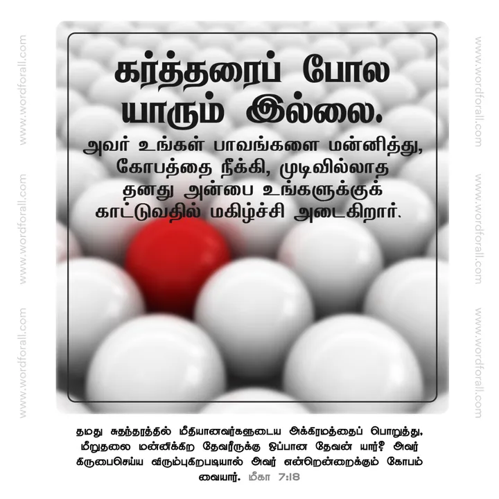 கர்த்தரைப் போல யாரும் இல்லை. அவர் உங்கள் பாவங்களை மன்னித்து, கோபத்தை நீக்கி, முடிவில்லாத தனது அன்பை உங்களுக்குக் காட்டுவதில் மகிழ்ச்சி அடைகிறார்.