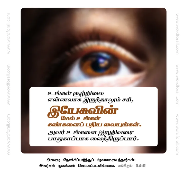 உங்கள் சூழ்நிலை என்னவாக இருந்தாலும் சரி, இயேசுவின் மேல் உங்கள் கண்களைப் பதிய வையுங்கள். அவர் உங்களை இறுதிவரை பாதுகாப்பாக வைத்திருப்பார்.