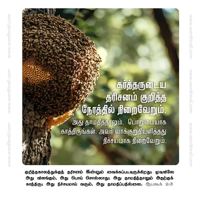 கர்த்தருடைய தரிசனம் குறித்த நேரத்தில் நிறைவேறும். அது தாமதித்தாலும், பொறுமையாக காத்திருங்கள். அவர் வாக்குறுதியளித்தது நிச்சயமாக நிறைவேறும்.