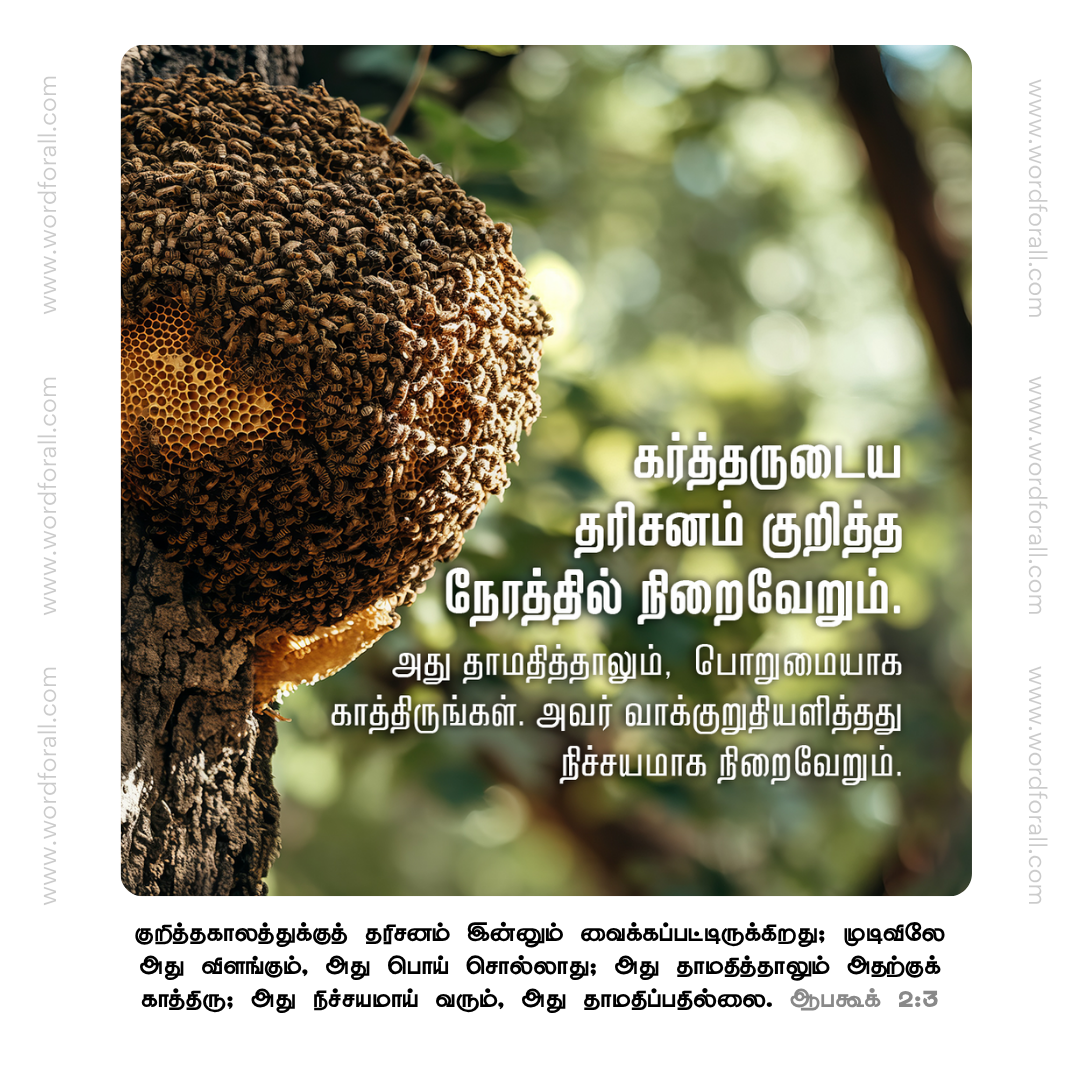 கர்த்தருடைய தரிசனம் குறித்த நேரத்தில் நிறைவேறும். அது தாமதித்தாலும், பொறுமையாக காத்திருங்கள். அவர் வாக்குறுதியளித்தது நிச்சயமாக நிறைவேறும்.