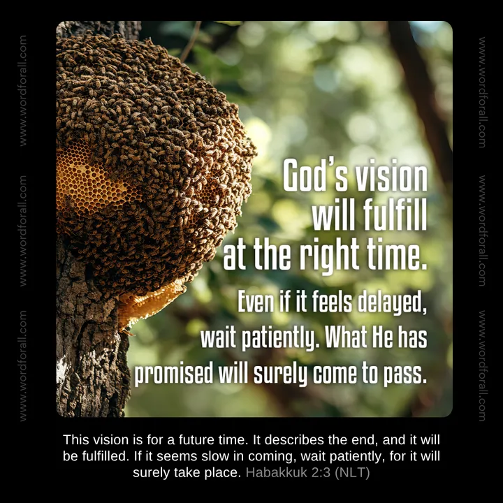 God's vision always comes at the right time. Even if it feels delayed, wait patiently. What He has promised will surely come to pass.