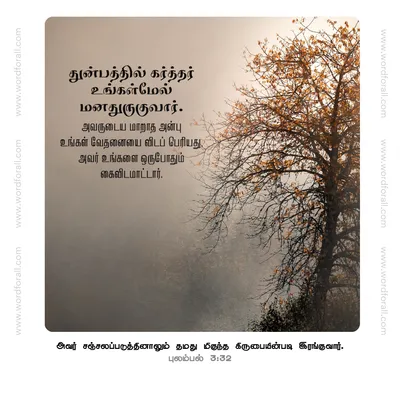 துன்பத்தில் கர்த்தர் உங்கள்மேல் மனதுருகுவார். அவருடைய மாறாத அன்பு உங்கள் வேதனையை விடப் பெரியது, அவர் உங்களை ஒருபோதும் கைவிடமாட்டார்.