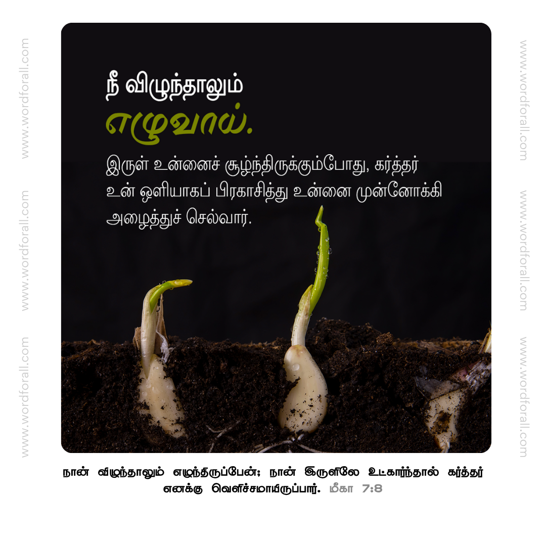 நீ விழுந்தாலும் எழுவாய். இருள் உன்னைச் சூழ்ந்திருக்கும்போது, கர்த்தர் உன் ஒளியாகப் பிரகாசித்து உன்னை முன்னோக்கி அழைத்துச் செல்வார்.