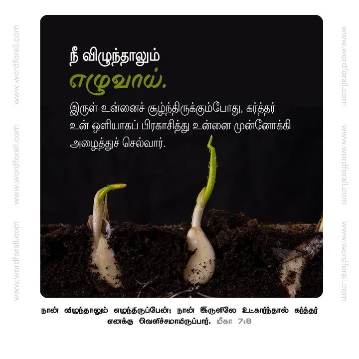 நீ விழுந்தாலும் எழுவாய். இருள் உன்னைச் சூழ்ந்திருக்கும்போது, கர்த்தர் உன் ஒளியாகப் பிரகாசித்து உன்னை முன்னோக்கி அழைத்துச் செல்வார்.