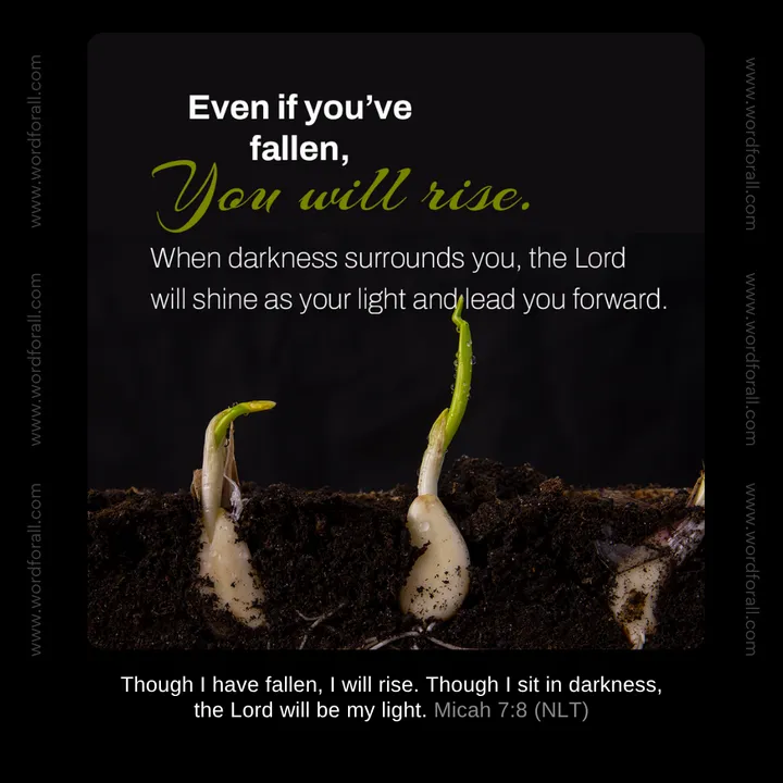 Even if you've fallen, you will rise. When darkness surrounds you, the Lord will shine as your light and lead you forward.