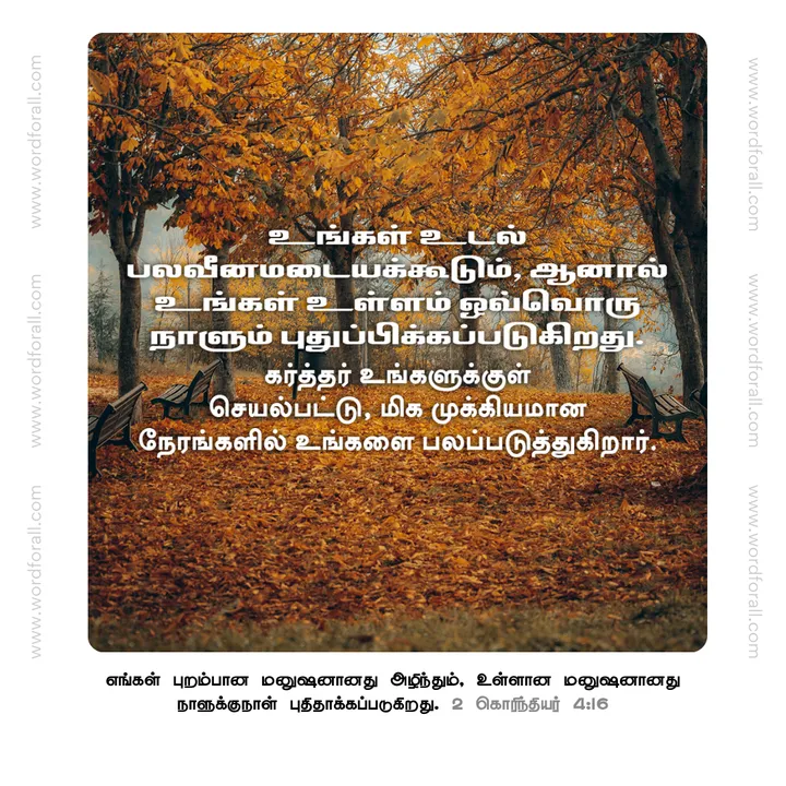 உங்கள் உடல் பலவீனமடையக்கூடும், ஆனால் உங்கள் உள்ளம் ஒவ்வொரு நாளும் புதுப்பிக்கப்படுகிறது. கர்த்தர் உங்களுக்குள் செயல்பட்டு, மிக முக்கியமான நேரங்களில் உங்களை பலப்படுத்துகிறார்.