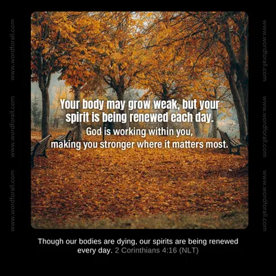 Your body may grow weak, but your spirit is being renewed each day. God is working within you, making you stronger where it matters most.