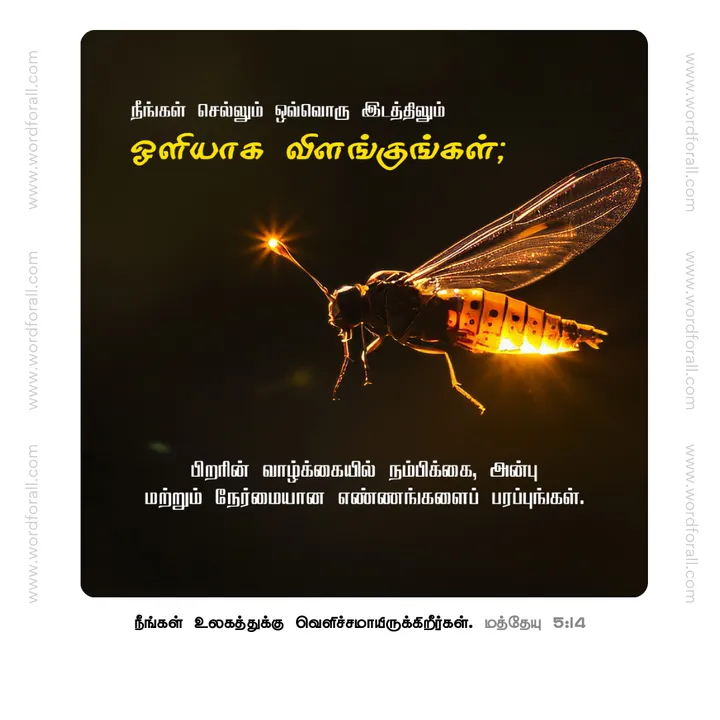 நீங்கள் செல்லும் ஒவ்வொரு இடத்திலும் ஒளியாக விளங்குங்கள்; பிறரின் வாழ்க்கையில் நம்பிக்கை, அன்பு மற்றும் நேர்மையான எண்ணங்களைப் பரப்புங்கள்.