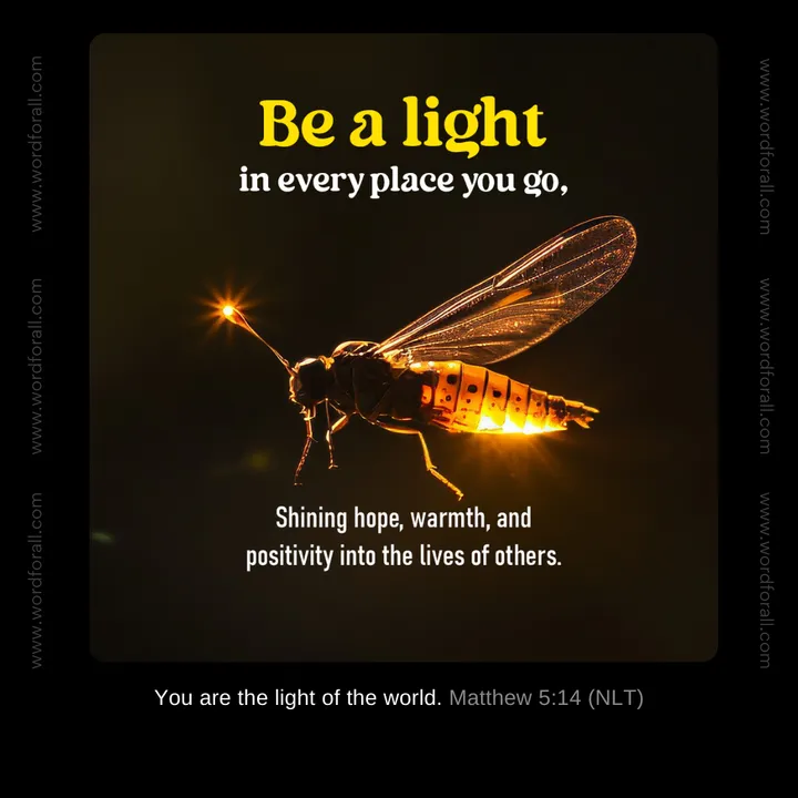 Be a light in every place you go, shining hope, warmth, and positivity into the lives of others.