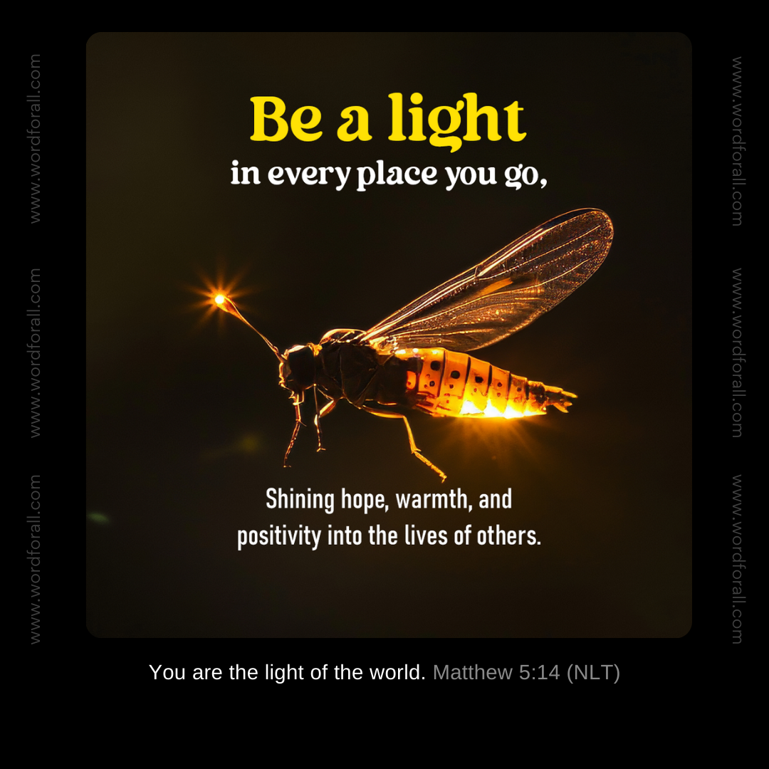 Be a light in every place you go, shining hope, warmth, and positivity into the lives of others.