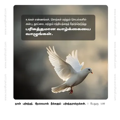 உங்கள் எண்ணங்கள், சொற்கள் மற்றும் செயல்களில் அன்பு, தூய்மை, மற்றும் சத்தியத்தைத் தேர்ந்தெடுத்து பரிசுத்தமான வாழ்க்கையை வாழுங்கள்.