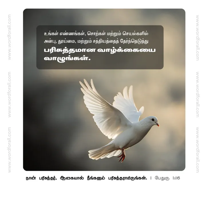 உங்கள் எண்ணங்கள், சொற்கள் மற்றும் செயல்களில் அன்பு, தூய்மை, மற்றும் சத்தியத்தைத் தேர்ந்தெடுத்து பரிசுத்தமான வாழ்க்கையை வாழுங்கள்.