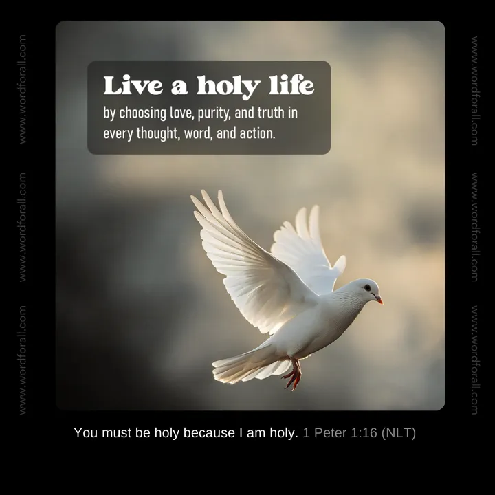 Live a holy life by choosing love, purity, and truth in every thought, word, and action.