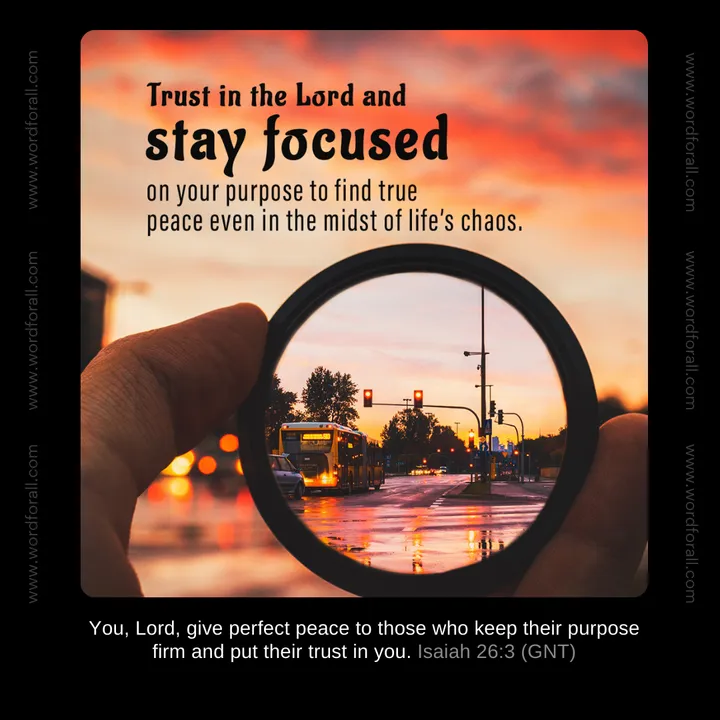 Trust in the Lord and stay focused on your purpose to find true peace even in the midst of life's chaos.