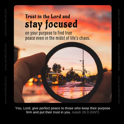 Trust in the Lord and stay focused on your purpose to find true peace even in the midst of life's chaos.