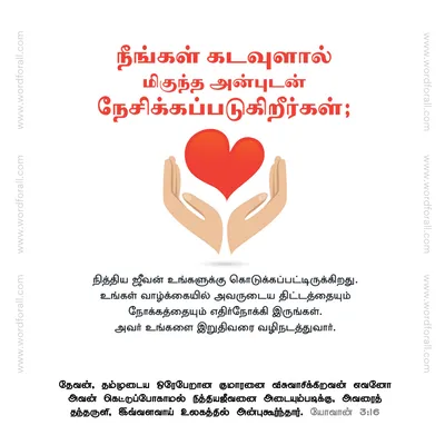 நீங்கள் கடவுளால் மிகுந்த அன்புடன் நேசிக்கப்படுகிறீர்கள்; நித்திய ஜீவன் உங்களுக்கு கொடுக்கப்பட்டிருக்கிறது. உங்கள் வாழ்க்கையில் அவருடைய திட்டத்தையும் நோக்கத்தையும் எதிர்நோக்கி இருங்கள். அவர் உங்களை இறுதிவரை வழிநடத்துவார்.