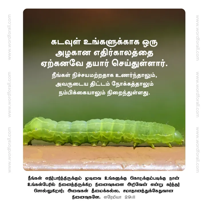 கடவுள் உங்களுக்காக ஒரு அழகான எதிர்காலத்தை ஏற்கனவே தயார் செய்துள்ளார். நீங்கள் நிச்சயமற்றதாக உணர்ந்தாலும், அவருடைய திட்டம் நோக்கத்தாலும் நம்பிக்கையாலும் நிறைந்துள்ளது.