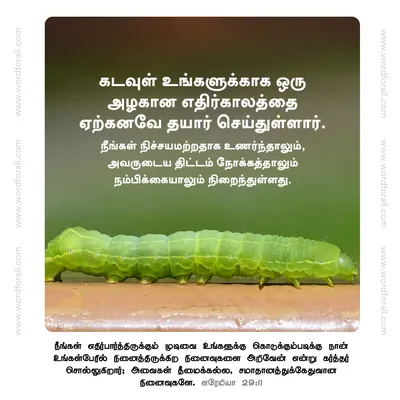 கடவுள் உங்களுக்காக ஒரு அழகான எதிர்காலத்தை ஏற்கனவே தயார் செய்துள்ளார். நீங்கள் நிச்சயமற்றதாக உணர்ந்தாலும், அவருடைய திட்டம் நோக்கத்தாலும் நம்பிக்கையாலும் நிறைந்துள்ளது.
