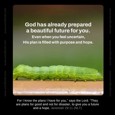 God has already prepared a beautiful future for you. Even when you feel uncertain, His plan is filled with purpose and hope.
