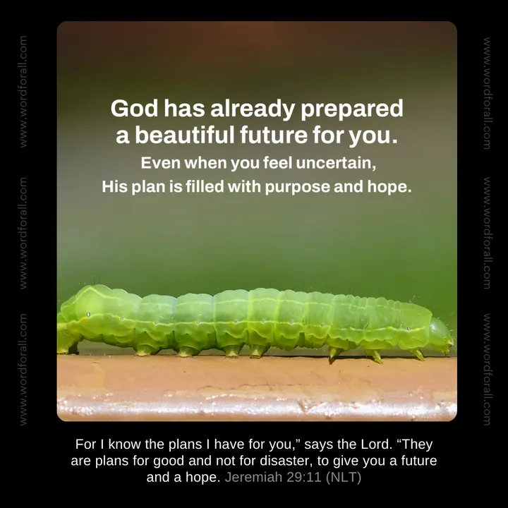 God has already prepared a beautiful future for you. Even when you feel uncertain, His plan is filled with purpose and hope.