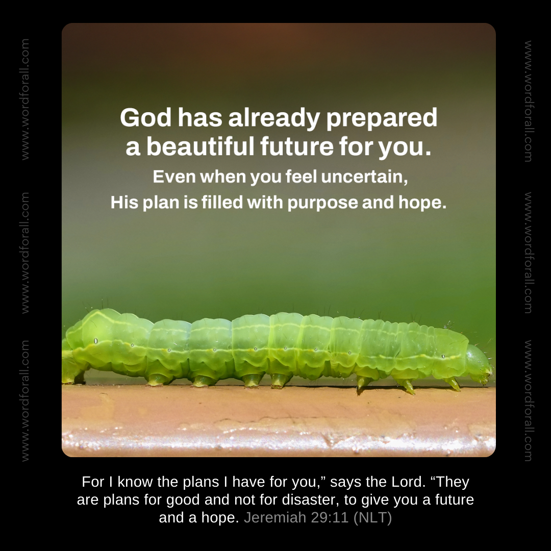 God has already prepared a beautiful future for you. Even when you feel uncertain, His plan is filled with purpose and hope.