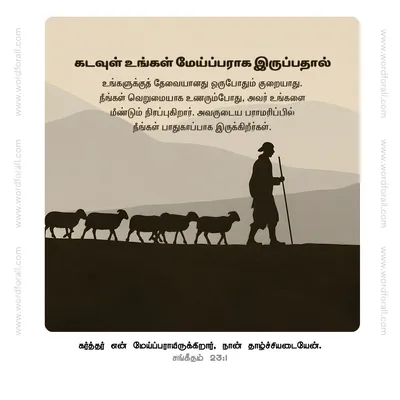 கடவுள் உங்கள் மேய்ப்பராக இருப்பதால் உங்களுக்குத் தேவையானது ஒருபோதும் குறையாது. நீங்கள் வெறுமையாக உணரும்போது, அவர் உங்களை மீண்டும் நிரப்புகிறார். அவருடைய பராமரிப்பில் நீங்கள் பாதுகாப்பாக இருக்கிறீர்கள்.