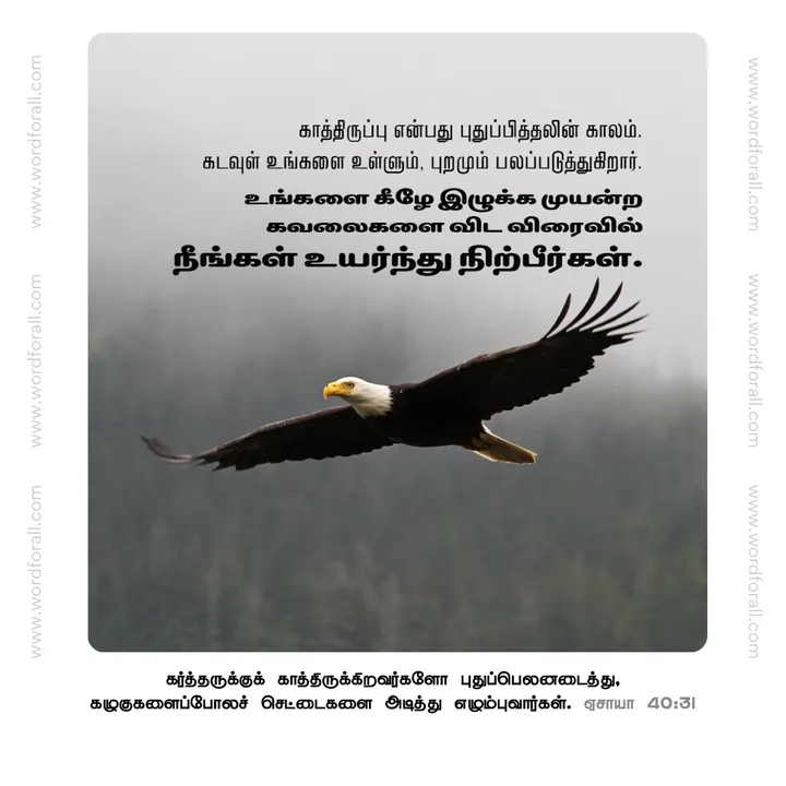 காத்திருப்பு என்பது புதுப்பித்தலின் காலம். கடவுள் உங்களை உள்ளும், புறமும் பலப்படுத்துகிறார். உங்களை கீழே இழுக்க முயன்ற கவலைகளை விட விரைவில் நீங்கள் உயர்ந்து நிற்பீர்கள்.