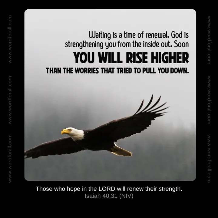 Waiting is a time of renewal. God is strengthening you from the inside out. Soon you will rise higher than the worries that tried to pull you down.