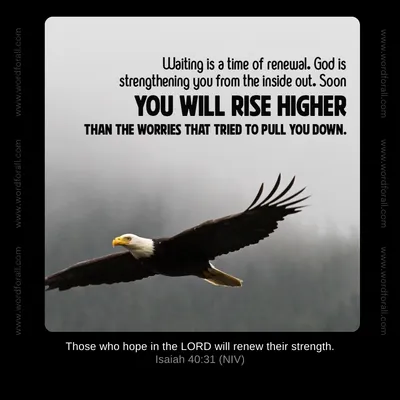 Waiting is a time of renewal. God is strengthening you from the inside out. Soon you will rise higher than the worries that tried to pull you down.