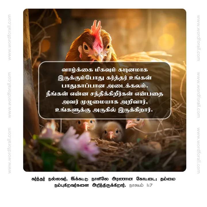 வாழ்க்கை மிகவும் கடினமாக இருக்கும்போது கர்த்தர் உங்கள் பாதுகாப்பான அடைக்கலம். நீங்கள் என்ன சந்திக்கிறீர்கள் என்பதை அவர் முழுமையாக அறிவார், உங்களுக்கு அருகில் இருக்கிறார்.