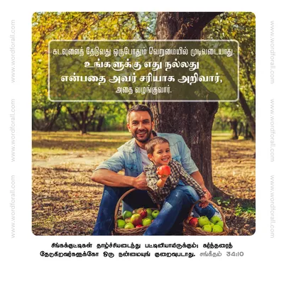 கடவுளைத் தேடுவது ஒருபோதும் வெறுமையில் முடிவடையாது. உங்களுக்கு எது நல்லது என்பதை அவர் சரியாக அறிவார், அதை வழங்குவார்.