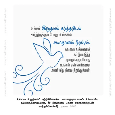 உங்கள் இருதயம் கர்த்தரிடம் சார்ந்திருக்கும் போது, உங்களை சமாதானம் நிரப்பும். கவலை உங்களைக் கட்டுப்படுத்த முயற்சிக்கும்போது உங்கள் எண்ணங்களை அவர் மீது நிலைநிறுத்துங்கள்.