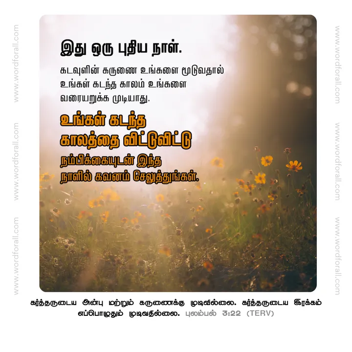 இது ஒரு புதிய நாள். கடவுளின் கருணை உங்களை மூடுவதால் உங்கள் கடந்த காலம் உங்களை வரையறுக்க முடியாது. உங்கள் கடந்த காலத்தை விட்டுவிட்டு நம்பிக்கையுடன் இந்த நாளில் கவனம் செலுத்துங்கள்.