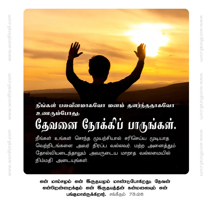 நீங்கள் பலவீனமாகவோ மனம் தளர்ந்ததாகவோ உணரும்போது, தேவனை நோக்கிப் பாருங்கள். நீங்கள் உங்கள் சொந்த முயற்சியால் சரிசெய்ய முடியாத வெற்றிடங்களை அவர் நிரப்ப வல்லவர். மற்ற அனைத்தும் தோல்வியடைந்தாலும் அவருடைய மாறாத வல்லமையில் நிம்மதி அடையுங்கள்.