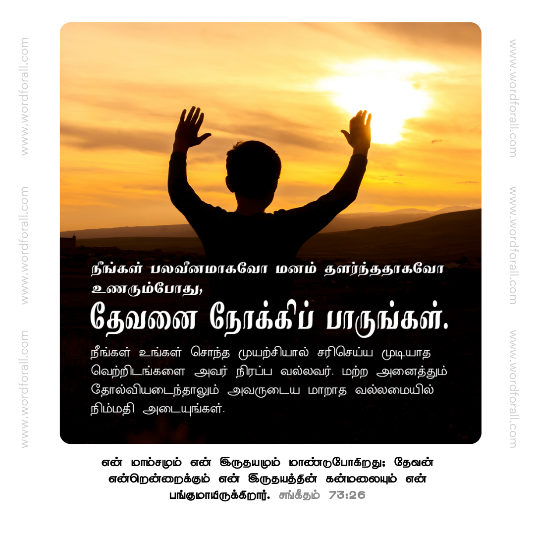 நீங்கள் பலவீனமாகவோ மனம் தளர்ந்ததாகவோ உணரும்போது, தேவனை நோக்கிப் பாருங்கள். நீங்கள் உங்கள் சொந்த முயற்சியால் சரிசெய்ய முடியாத வெற்றிடங்களை அவர் நிரப்ப வல்லவர். மற்ற அனைத்தும் தோல்வியடைந்தாலும் அவருடைய மாறாத வல்லமையில் நிம்மதி அடையுங்கள்.