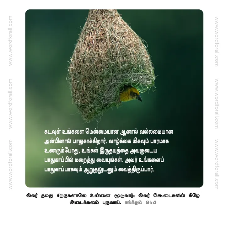 கடவுள் உங்களை மென்மையான ஆனால் வல்லமையான அன்பினால் பாதுகாக்கிறார். வாழ்க்கை மிகவும் பாரமாக உணரும்போது, உங்கள் இருதயத்தை அவருடைய பாதுகாப்பில் மறைத்து வையுங்கள். அவர் உங்களைப் பாதுகாப்பாகவும் ஆறுதலுடனும் வைத்திருப்பார்.