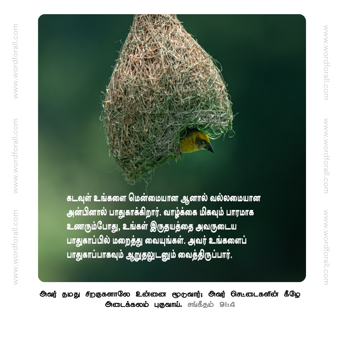 கடவுள் உங்களை மென்மையான ஆனால் வல்லமையான அன்பினால் பாதுகாக்கிறார். வாழ்க்கை மிகவும் பாரமாக உணரும்போது, உங்கள் இருதயத்தை அவருடைய பாதுகாப்பில் மறைத்து வையுங்கள். அவர் உங்களைப் பாதுகாப்பாகவும் ஆறுதலுடனும் வைத்திருப்பார்.