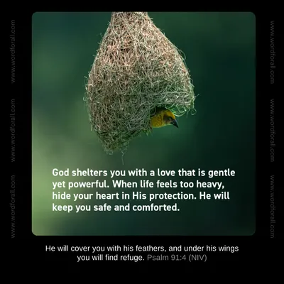 God shelters you with a love that is gentle yet powerful. When life feels too heavy, hide your heart in His protection. He will keep you safe and comforted.